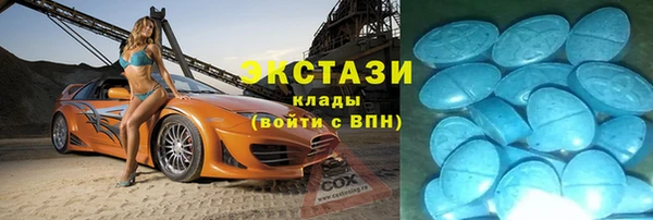 хмурый Алексин