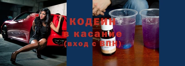 хмурый Алексин