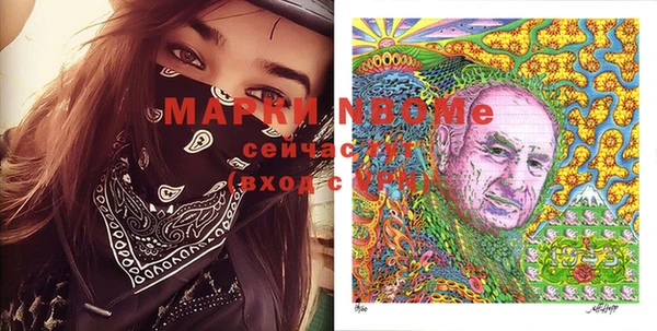 хмурый Алексин