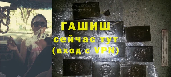 хмурый Алексин