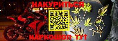дмт Кандалакша