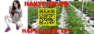 spice Канаш
