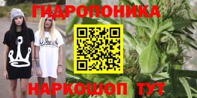spice Канаш