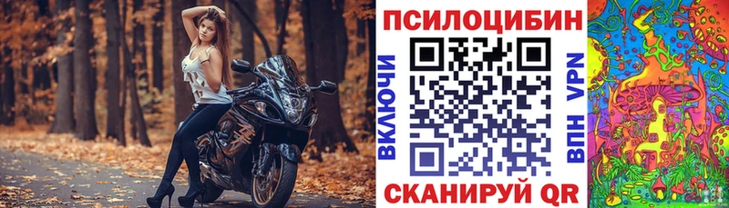 хочу   Красноярск  Псилоцибиновые грибы Psilocybine cubensis 