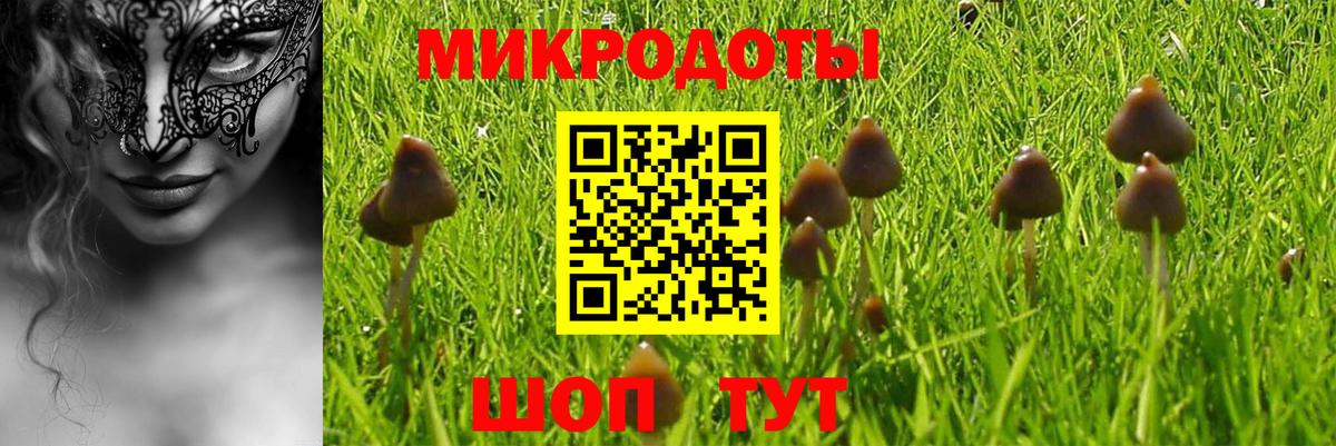 Псилоцибиновые грибы прущие грибы Красноярск
